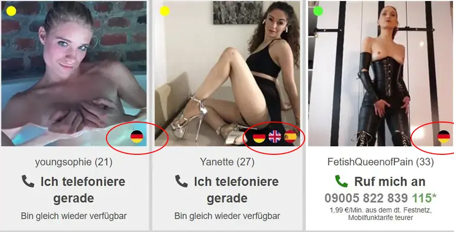 Unten rechts im Bild ist immer eine Fahne abgebildet, die für die Sprachkenntnisse der Damen stehen